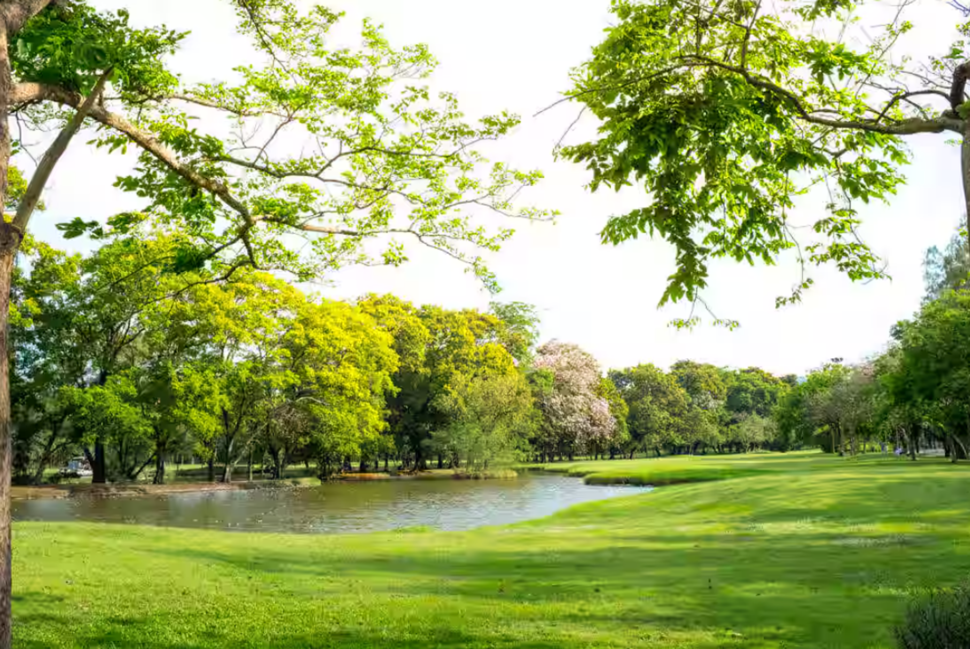 Bhargava Park
