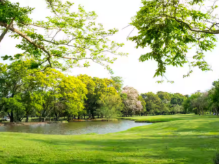 Bhargava-Park