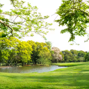 Bhargava Park