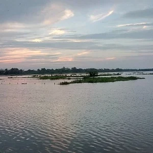 Saura River View Point